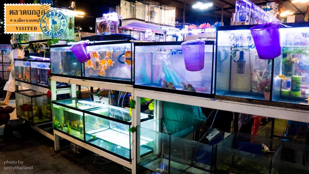 ร้านขายปลา ตลาดนกฮูก เที่ยวเมืองนน์ นนทบุรี ตลาดนัดกลางคืน นนทบุรี gettythailand